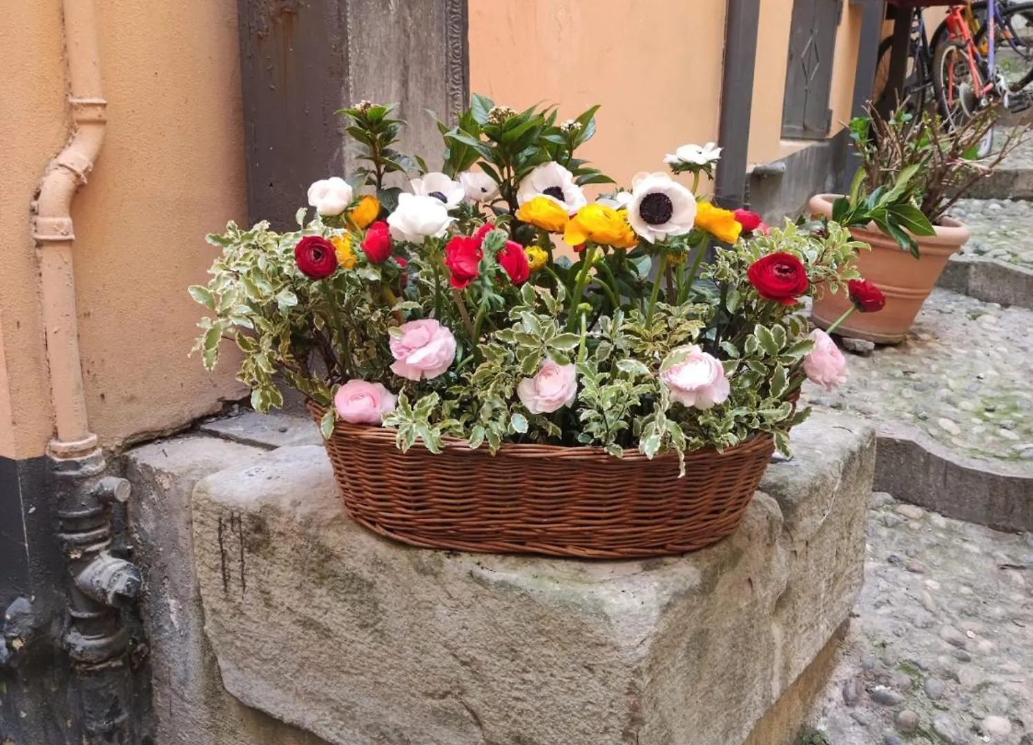 “ Nel Vecchio Carruggio” Apartment Sanremo